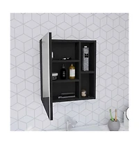 Depot E-shop Andes Medicine Single Door Cabinet With Mirror, Five Interior Shelves