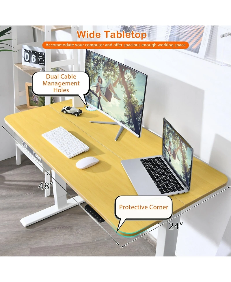 48-Inch Electric Standing Adjustable Desk with Control Panel and Usb Port