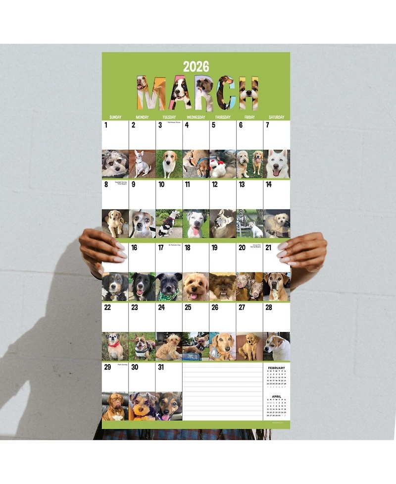 2026 Dog-a-Day Wall Calendar