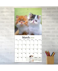 2026 Kittens Wall Calendar