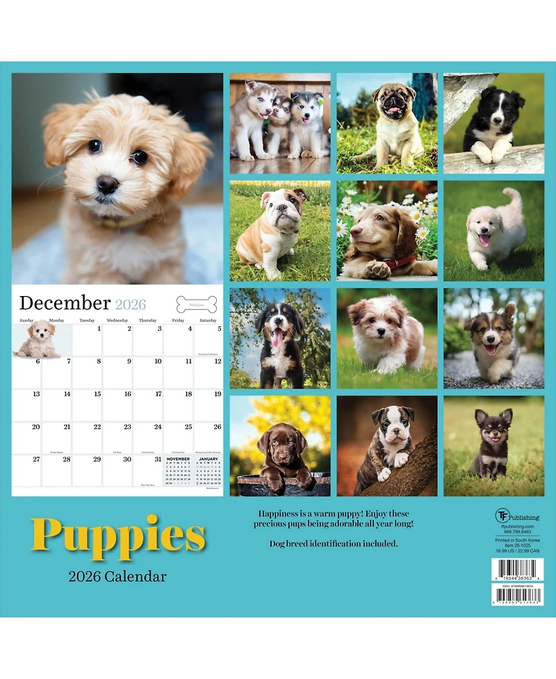 2026 Puppies Wall Calendar