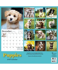 2026 Puppies Wall Calendar