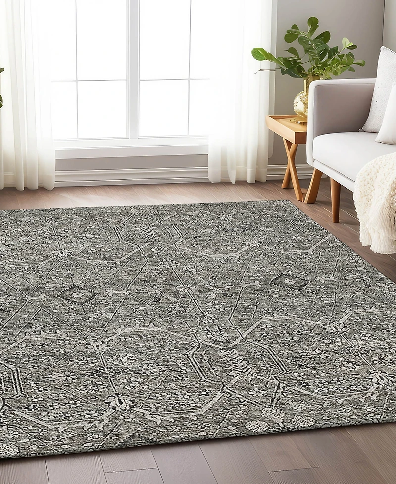 Addison Chantille Machine Washable ACN1223 8'x10' Area Rug