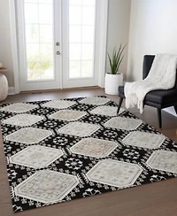 Addison Chantille Machine Washable Acn1443 Area Rug Collection