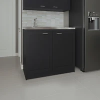 Bickleton Utility Sink Cabinet, 2 Doors, Shelves