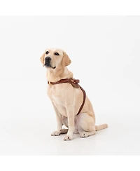 Kandog Toscana Harness