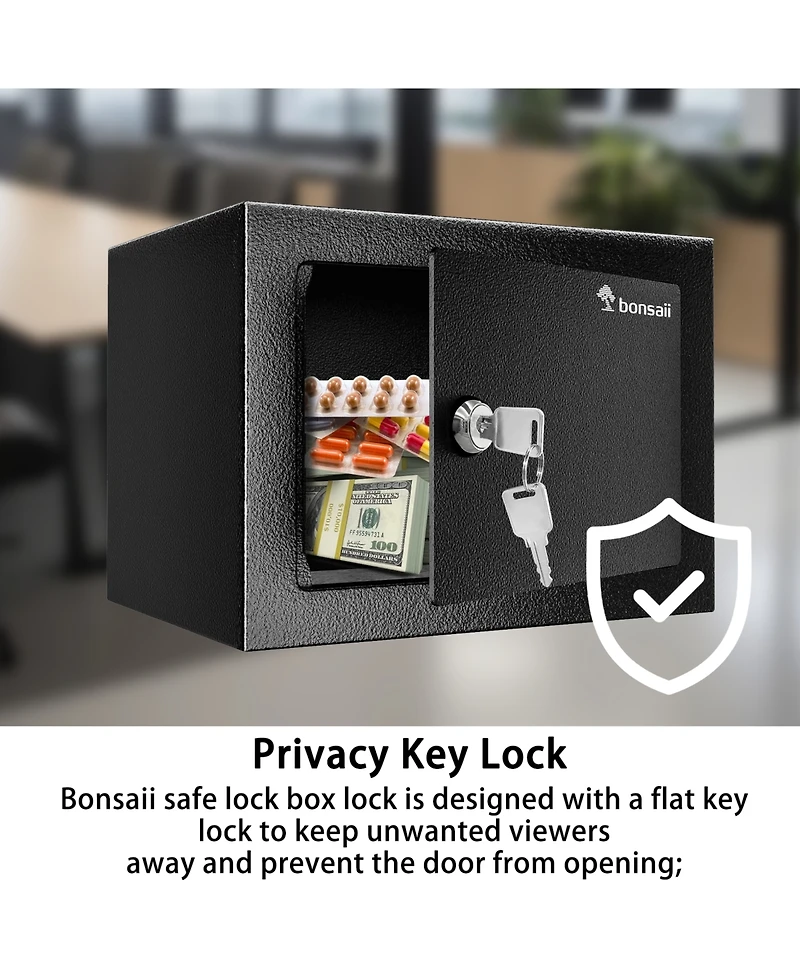 Bonsaii Safe Box with Key Lock, Steel Security Lock Box, 0.23 Cubic Feet, 9.06" W x 6.69" D x 6.69" H, Small Hidden Safe for Cash Jewel
