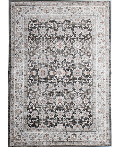 Bashian Parlin ASH313 3'6"x5'6" Area Rug