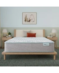 Beautysleep Bashful Lullaby 12.5 Firm Mattress Collection