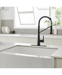 Single-Handle Pull-Down Sprayer 2 Spray High Arc Kitchen Faucet With Deck Plate in