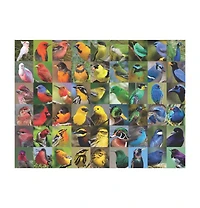 New York Puzzle Company Rainbow of Birds 1000 Piece Puzzle