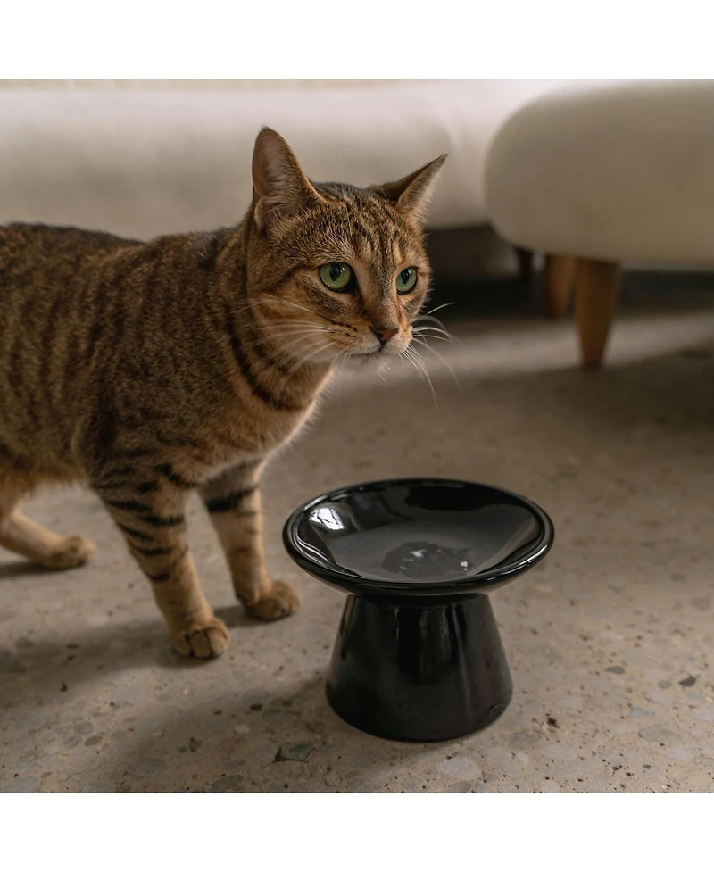 Dexypaws Flat Top Cat Bowl: Black