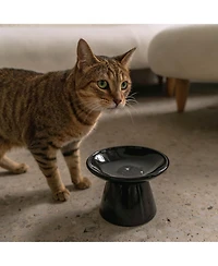 Dexypaws Flat Top Cat Bowl: Black