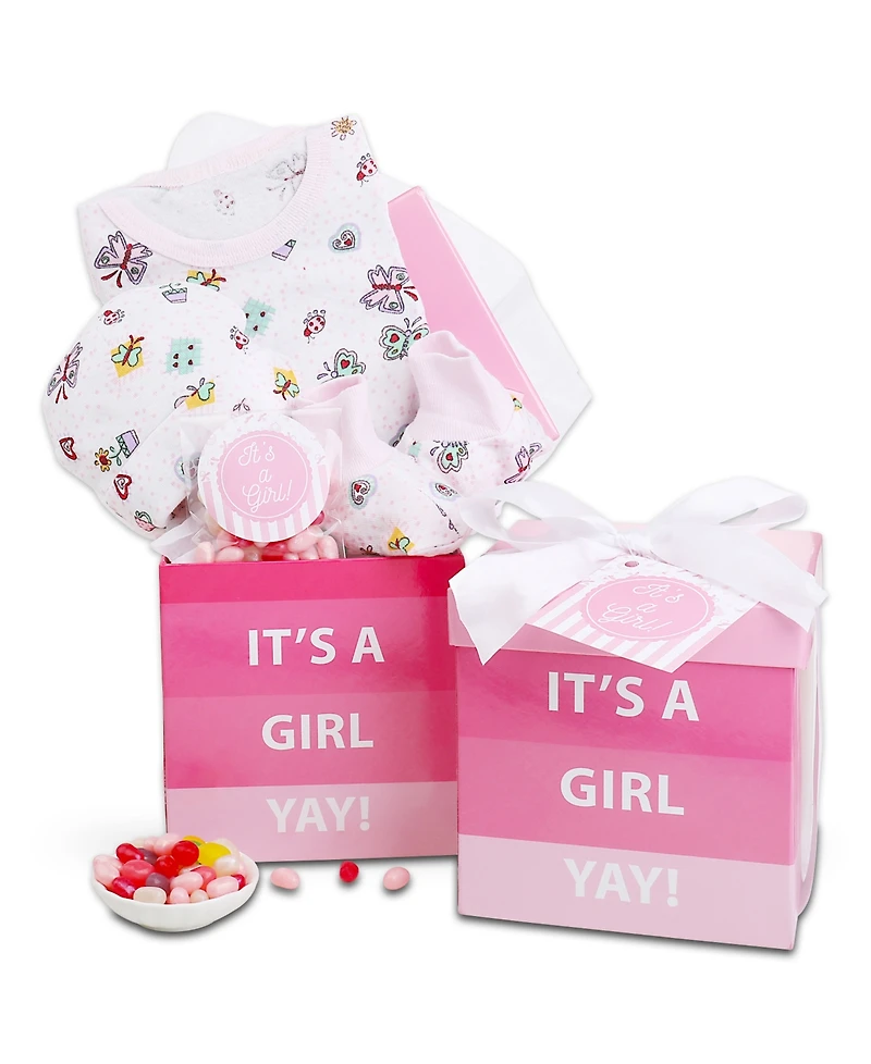 Alder Creek Gift Baskets It's a Girl Baby Gift Box, 4 Pieces
