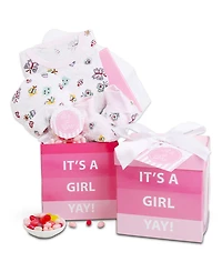 Alder Creek Gift Baskets It's a Girl Baby Gift Box, 4 Pieces