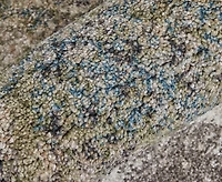 Feizy Skyview 39Q9F 7'10"x10' Area Rug