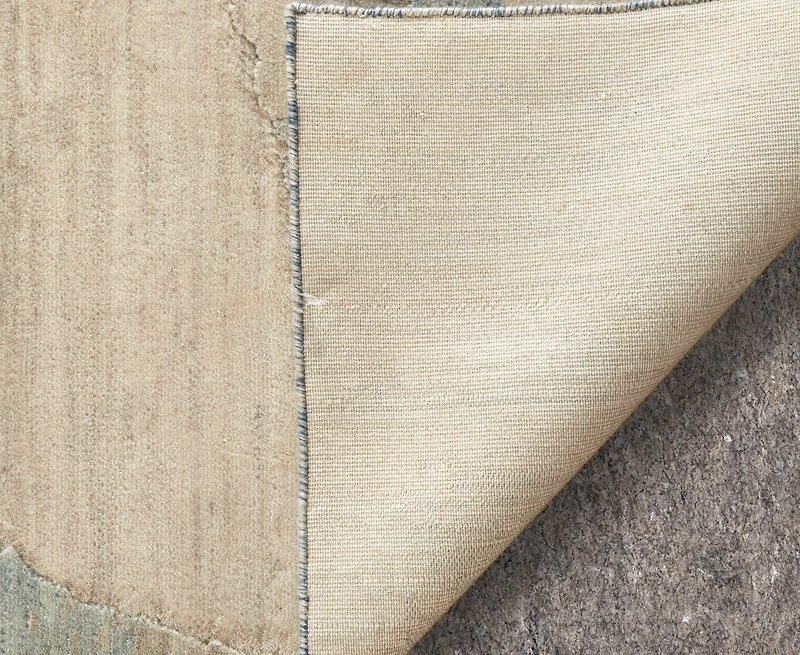 Feizy Jaxson 39PXF 4'x6' Area Rug