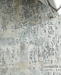 Feizy Braden 8A51F 8'x10' Area Rug