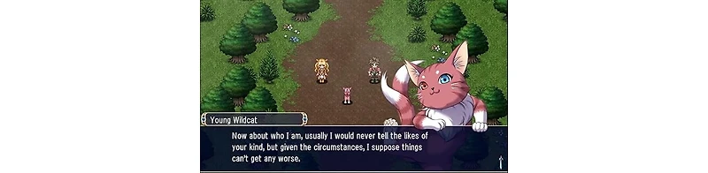 COKeM Kemco Rpg Selection Vol. 1 for Nintendo Switch