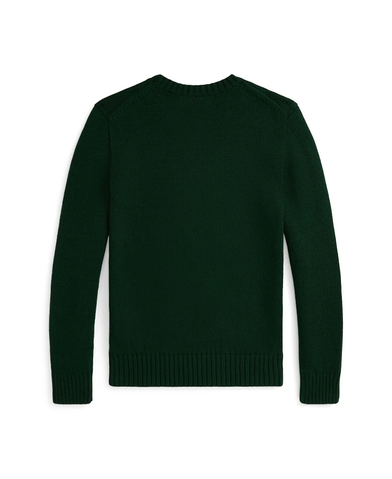 Polo Ralph Lauren Big Boys Bear Sweater