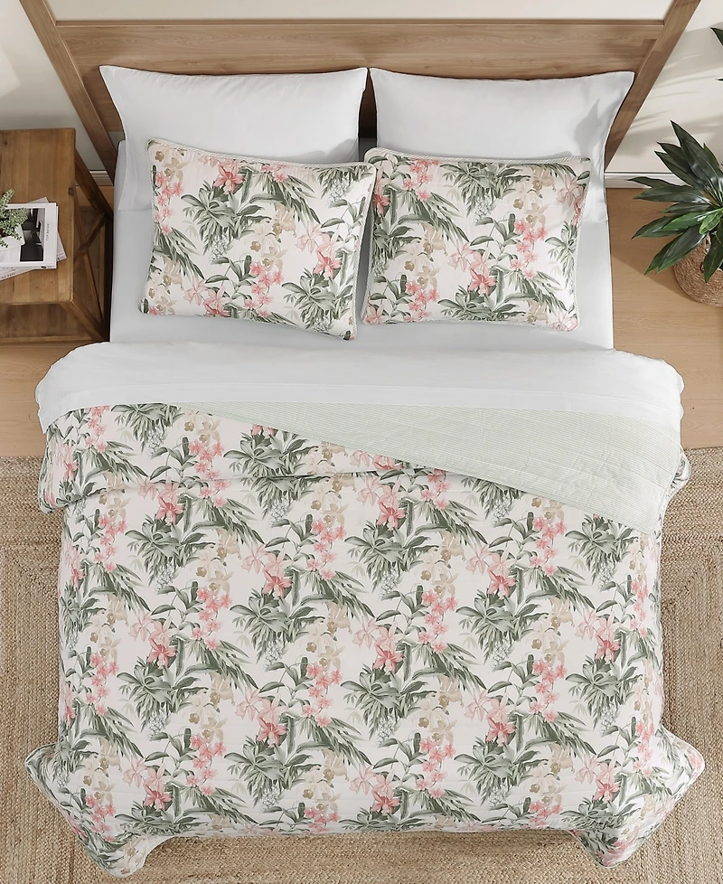 Tommy Bahama Island Orchid Cotton Reversible 3-Pc. Quilt Set