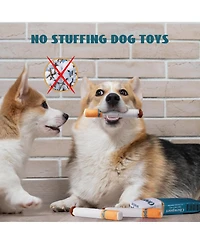 Nocciola 3 Pack Chewport Refreshing Dog Squeaky Toys with a Box, Interactive Plush Toys