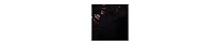 Raffya Women's Shelli All Over Broderie Anglaise Shirt