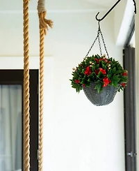 Nearly Natural 24" Pre-Lit Uv Resistant Artificial Christmas Led Lights Indoor and Outdoor