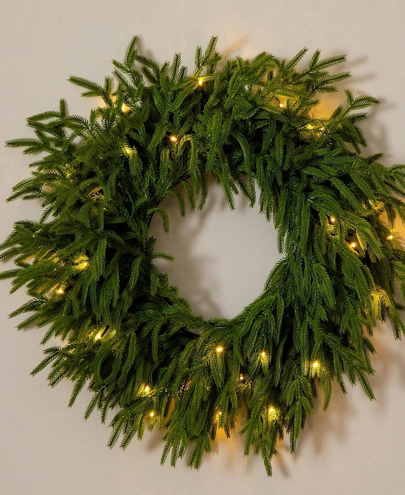 Nearly Natural 20" Pre-Lit Artificial Touch Norfolk Island Pine Wreath Led Lights