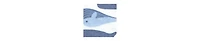 Hudson Baby Infant Boys Cotton Flannel Receiving Blankets 4pk, Cute Whales, One
