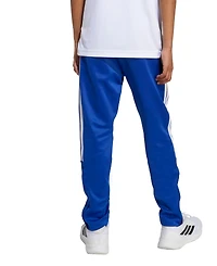 adidas Big Boys House Of Tiro Pants