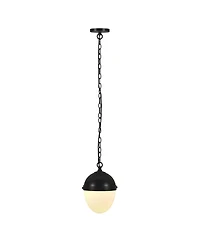 Hudson & Canal Aurelia 13" Metal Pendant with Glass Shade