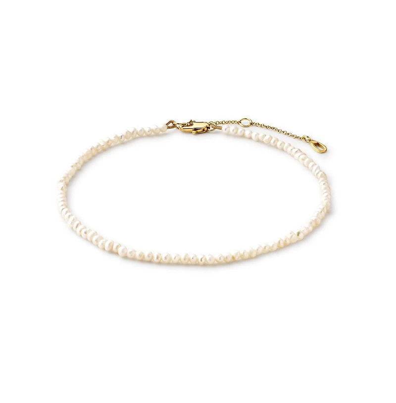 Ana Luisa Gold Anklet - Milly