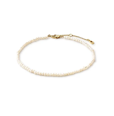 Ana Luisa Gold Anklet - Milly
