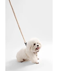 Teddy Boucle Adjustable H Harness Leash Walk Set with Poop Bag Pouch