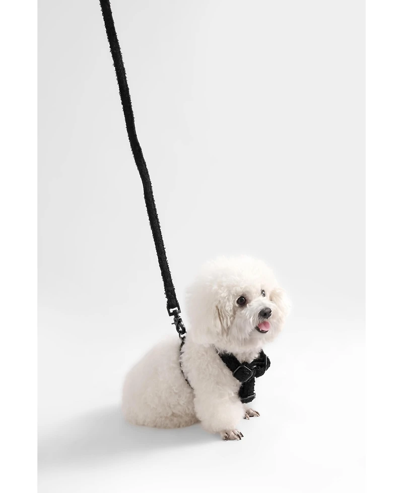 The Licker Store, Teddy Boucle Adjustable Harness and Leash Walk Set with Poop Bag Pouch