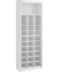 Songmics Home 10-Tier Shoe Rack Organizer, Holds Up to 30 Pairs of Shoes, Easy to Assemble, White