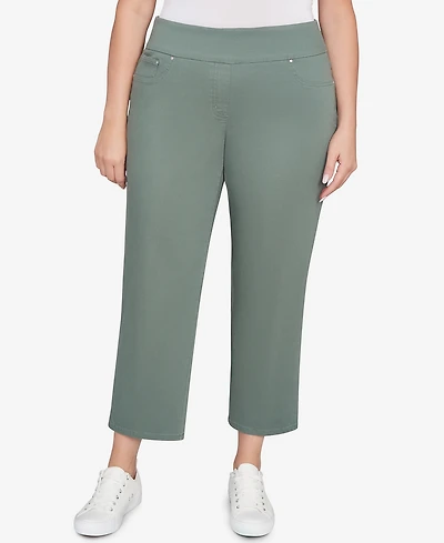 Ruby Rd. Plus Soft Denim Faux Pocket Pants