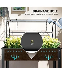 Outsunny Raised Garden Bed with house Cover,