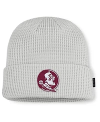 Nike Men Gray Florida State Seminoles 2025 On-Field Utility Cuffed Knit Hat