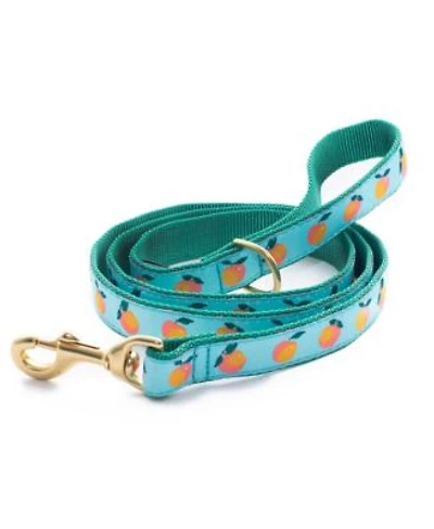 Up Country Peachy Dog Lead