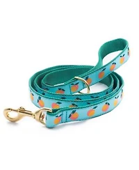 Up Country Peachy Dog Lead