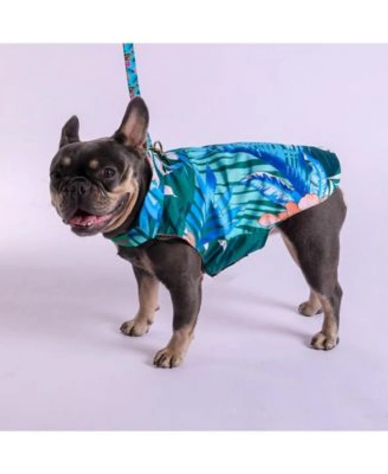 Tommy Bahama Pet Hawaiian Shirt Apparel Harness Green Xs