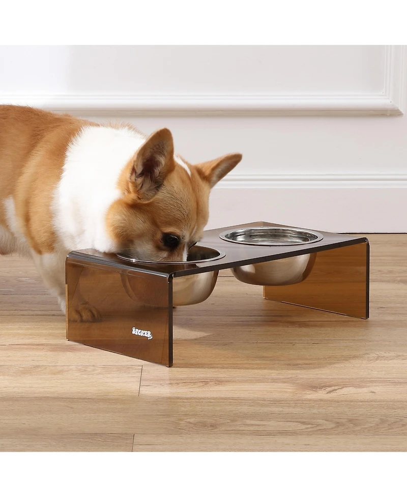 Keaton Modern Acrylic Rectangular Elevated Pet Feeder with 2-Stainless Steel Bowls