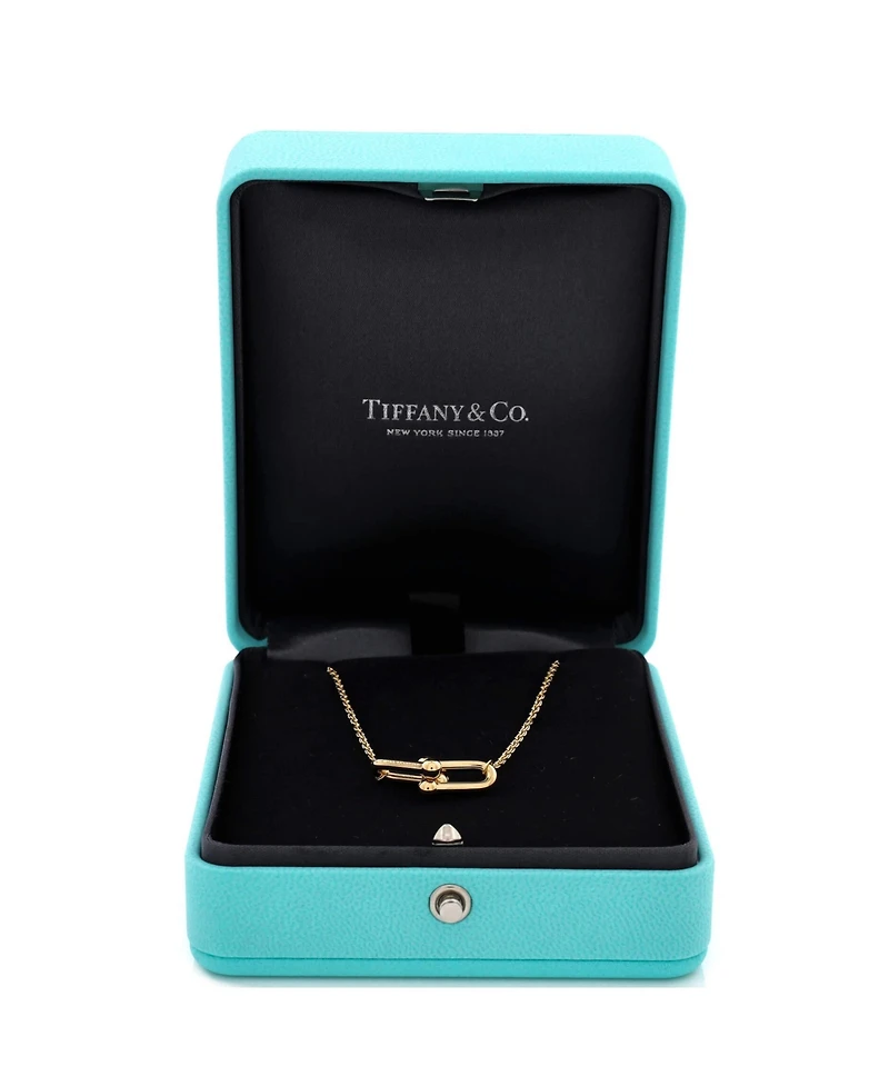Pre-Owned Tiffany & Co. HardWear Double Link Pendant Necklace