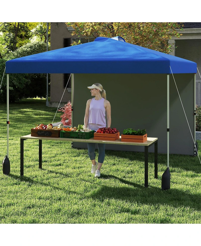 Gymax 10 X Ft Pop up Canopy Tent w/ 1 Sidewall Wheeled Bag 8 Stakes & 4 Wind Ropes