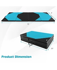Akiudex 10FT Folding Gymnastics Mat with 2inch Foam and Pu Cover for Home and Studio