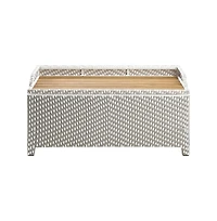 Enitial Star Azur Poolside Outdoor Wicker Metal Storage Bench
