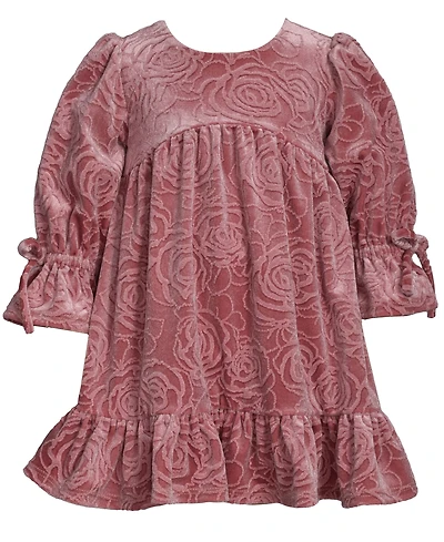 Bonnie Baby Girls Long Sleeve Floral Velvet Dress