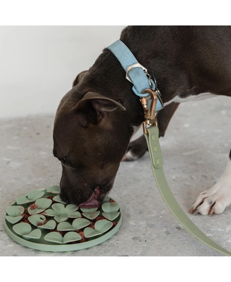 Dexypaws Enrichment Snuffle Mat: Sage Green Circle